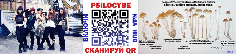 Галлюциногенные грибы ЛСД  Купить где  Елизово 